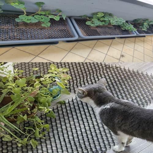 חתול סקאט מחצלת עם קוצים, חתול ספייק מחצלת, לחיות מחמד סקאט מחצלת עבור גן, גדר, 7.9 6.1 סנטימטרים